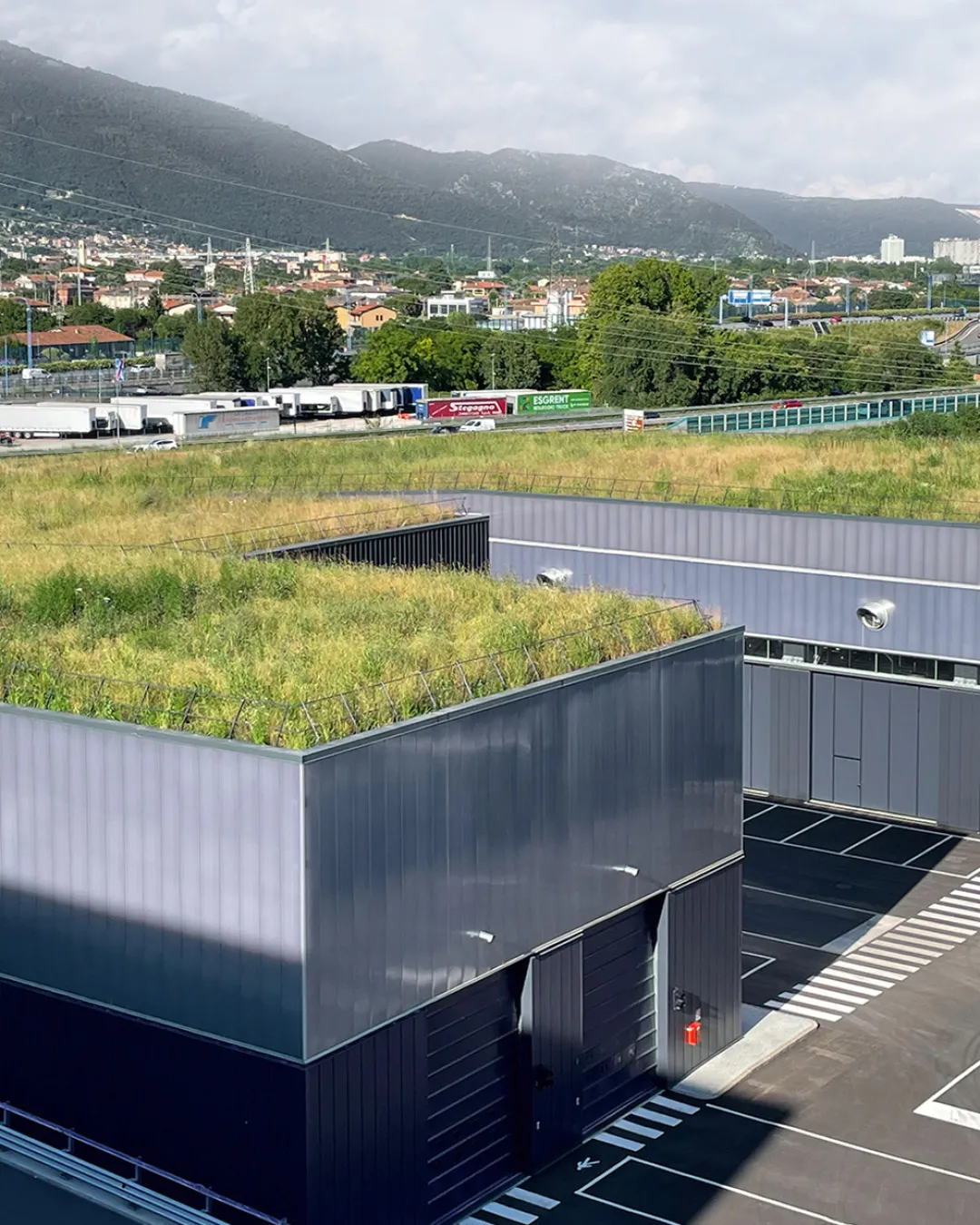 greenroof